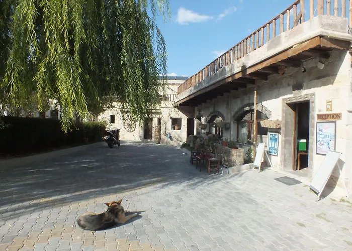 호텔 홀리데이 케이브 3*